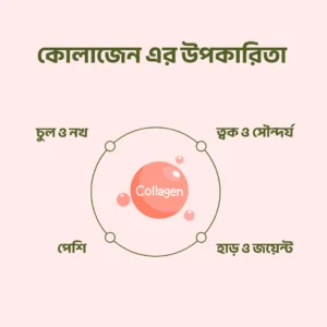 কোলাজেন এর উপকারিতা